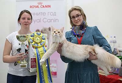 �������� ����� '���-�����-������' 11-12 ������ 2015  1-17-169A5590 copy.jpg